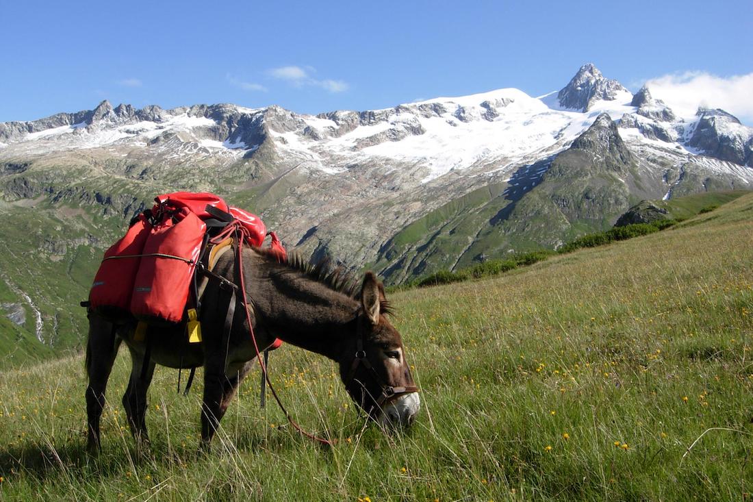 A wild hike around Mont Blanc in Bivouac